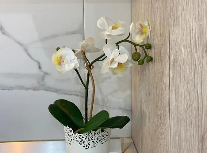 Mareverde شقة فندقية أذيخي