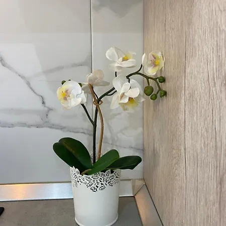 Mareverde Hotel apartamentowy Costa Adeje (Tenerife)